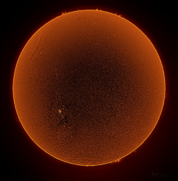 The Big Sun
