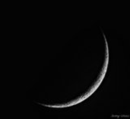January 2023 Crescent