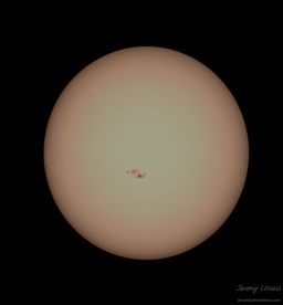 June Sunspots