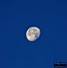 Good morning blue moon