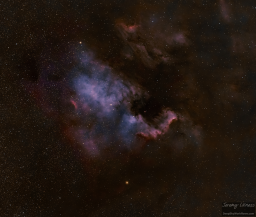 North America Nebula with Camera