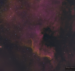 North America Nebula shakedown