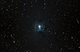 NGC7023: The Iris Nebula
