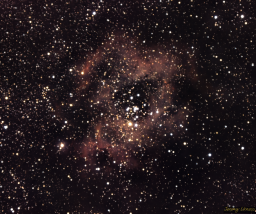 The Rosette Nebula