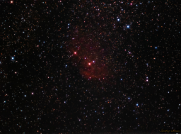 SH2-101: The Tulip Nebula