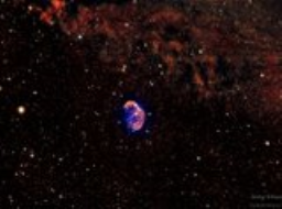 Small Brain Big World