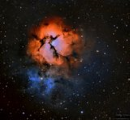 Le Trifid Noveau
